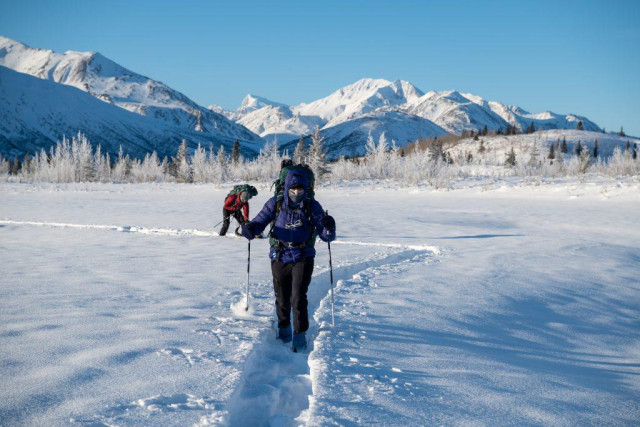 Two people travel across a wide, snow-covered creek valley on skis, following a narrow, packed track. Snowy spruce trees line the valley, and rugged, snow-covered mountains rise in the background under a clear blue sky.