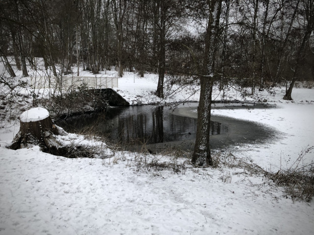 Der selbe Teich mit  Abstand. Ein sehr dicker Baumstumpf am Ufer mit Schnee bedeckter runder Fläche.