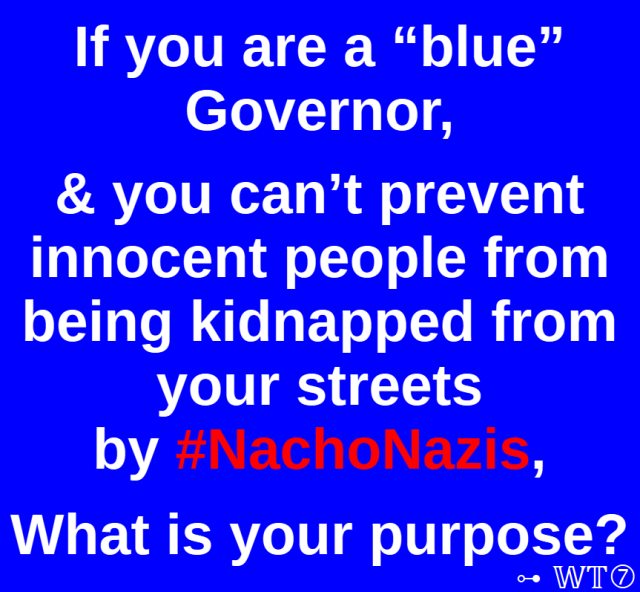 If you are a “blue”
Governor,

& you can’t prevent
innocent people from
being kidnapped from
your streets
by #NachoNazis,

What is your purpose?

~WT7
