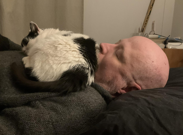 Tyyppi makaa silmät kiinni selällään mustavalkoinen kissa rinnan päällä. Kissa on asemoinut alaselkänsä vasten tyypin suuta.