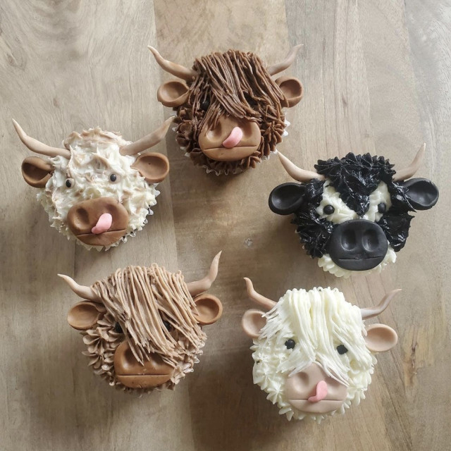 cow cupcakes