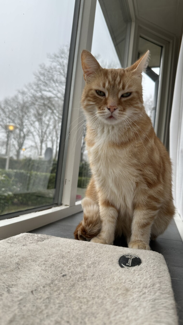 Looking at you into the camera