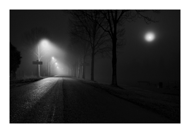 Foggy night light monochrome photography.

Moon breath blurring the substance of the night road setting, starring trees, road lamps and other diaphanous spirits.