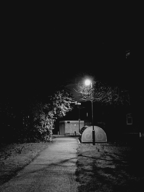 Under the black blanket of night, a single lamp lights the way along a path, past the bike rack, under partially-seen trees, to a small brick block of no particular import.
