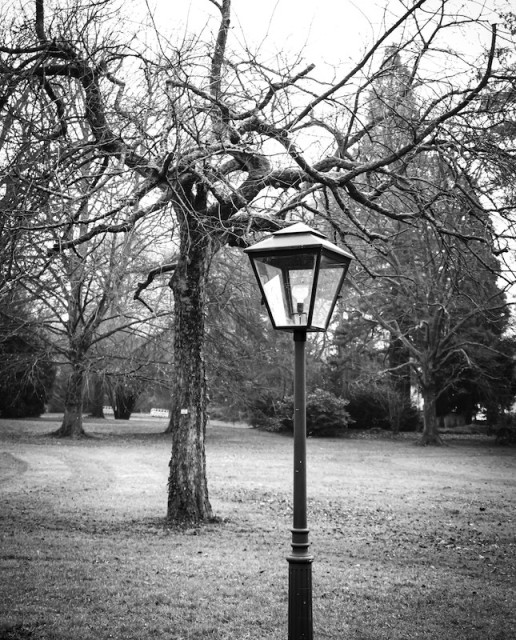 Blick in eine Parkanlage. Im Vordergrund steht eine Laterne. Dahinter, versetzt ist ein alter knorriger Baum zu sehen der keine Blätter trägt. Weiter im Hintergrund sind verschiedene Arten von weiteren Bäumen zu erkennen. Das Foto ist in Schwarzweiß.
