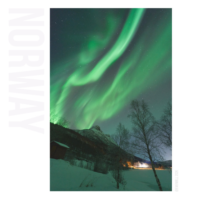 First frame of three from a time lapse. A few birch trees rise above the horizon, and a tall mountain peak can be seen in the distance.  Nordlys flame into the sky from behind the mountain.