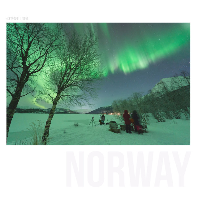A pair of birch trees are on the left. Our photographers are gathered on the right. They're blury from moving in the slow exposure. One is still sitting at the tripod taking photos. Above them the entire sky is lit up with green and red auroras.