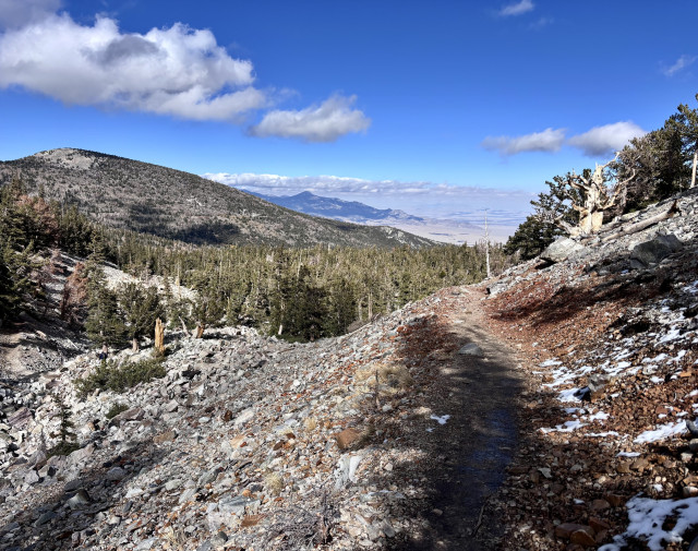 Great Basin National Park. Mountain hiking trail winding through rocky terrain and scattered pine trees under a blue sky with clouds.