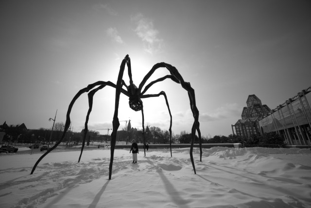 The Maman sculpture outside the National Gallery of Canada. The gallery is on the right. The tower of Parliament is visible under the egg sac. An American tourist is being offered as a sacrifice to the arachnid gods, because hey why not? (Not entirely true.)