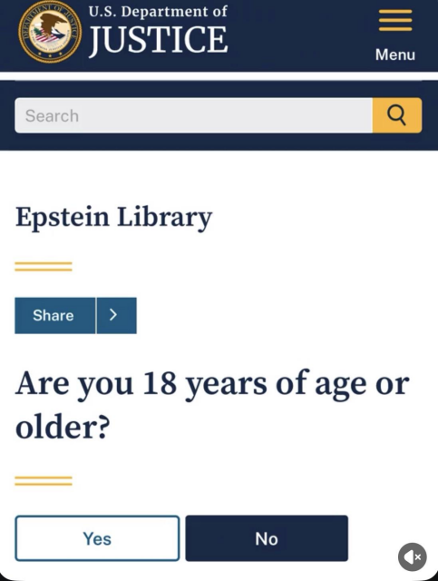 A screenshot from the US DoJ Epstein Library asking if the reader is of 18 years of age or older.
