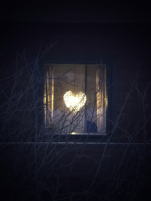 A glowing heart hangs in a window. It is dark, and bare branches of a bush framing the window are illuminated only by the heart.