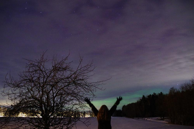A cloudy nightsky with just a couple of stars visible and the red part of aurora borealis is shining through the small uncloudy parts in the sky. To the right the forest streches down in the distance and to the left stands a smaller tree. At the center between the forest and the tree a woman is standing with her back against the camera, raising her arms in a joyful gesture. Her red hair is hanging down her back. Some of the low part of the green aurora is visible,  just above the trees at the horizon.