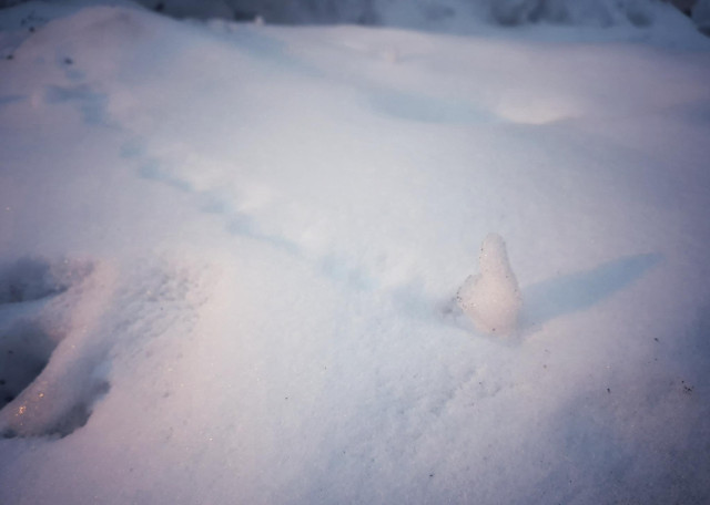 Picture of a little lump of ice that has the shape of a penguin or at least is not round, that has rolled down a pile of snow and left a trail. The pile an lump is lit by a streetlight nearby, casting a shadow on the snow. And the rest is just my imagination going in all different directions
