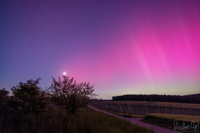 Landscape image by night, showcasing a field with a road and hops. Above, purple and pink color swirls can be seen, which are part of the Aurora Borealis.