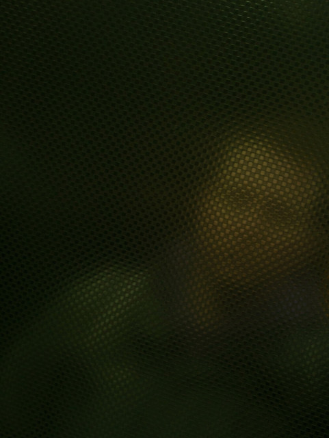 Photo of some old geezer in a dark coat, reflected in a metal grid-textured wall. The effect is somewhat like pixellation; the closer you look, the less you see.