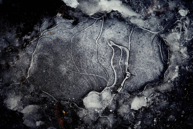 A frozen roadside puddle seen close up. Pale, thread-like lines run through dark ice, forming abstract shapes that resemble a map or branching paths.