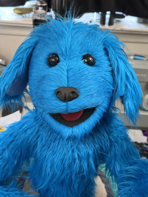 Front view of a furry blue dog live hands puppet