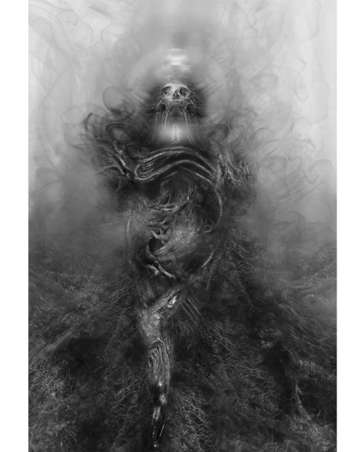 greyscale image of somekind creature emerging from fog