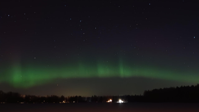 En båge med grönt norrsken och en stjärnhimmel över skogen.