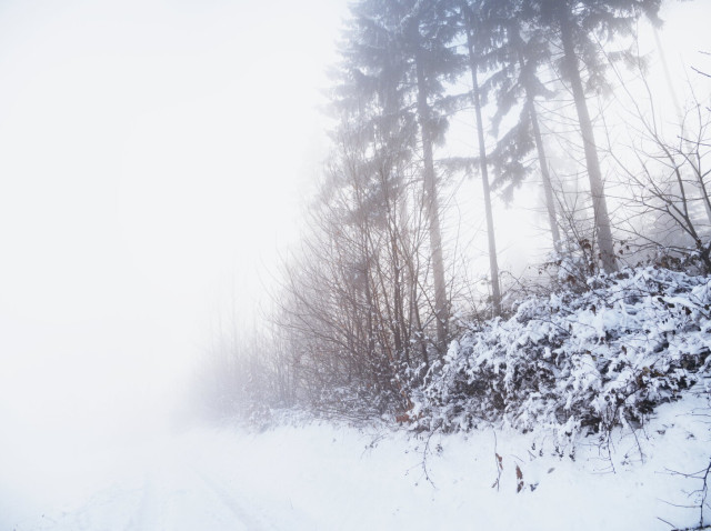 Snowy foggy landscape near gloggnitz, lower Austria