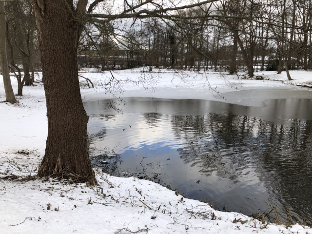 Teich halb zu gefroren, im offenen Teil spiegeln sich Bäume und Himmel. Ein Stamm vom Baum links am schneebedeckten Ufer.