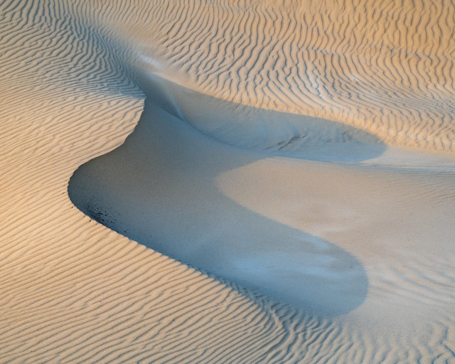 dune photo with a sharp-lined crest casting a curved shadow. The overall shadowed area loosely resembles letter C