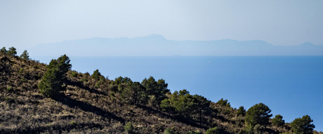 A hillside with pine trees slanting middle left to  bottom right. Behind is the blue Mediterranean sea and behind that in the haze are the Riff mountains in Morocco, Africa