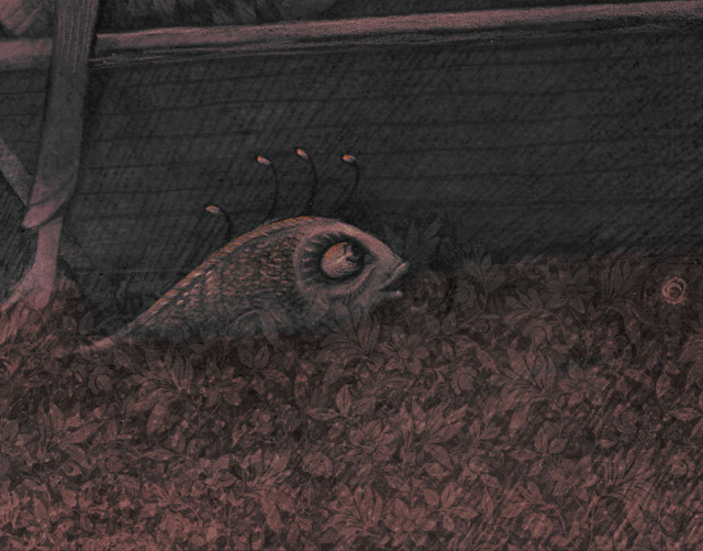 partial image - enlargement