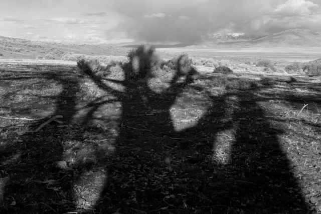 A black and white landscape photo of long late afternoon the shadows of winter barren trees. The shadows extend out straight from the camera and look like one or two people holding their arms in the air. A vast sagebrush plain extends out from the shadows. Distant snow capped mountain have dark rain clouds passing from right toward the left.