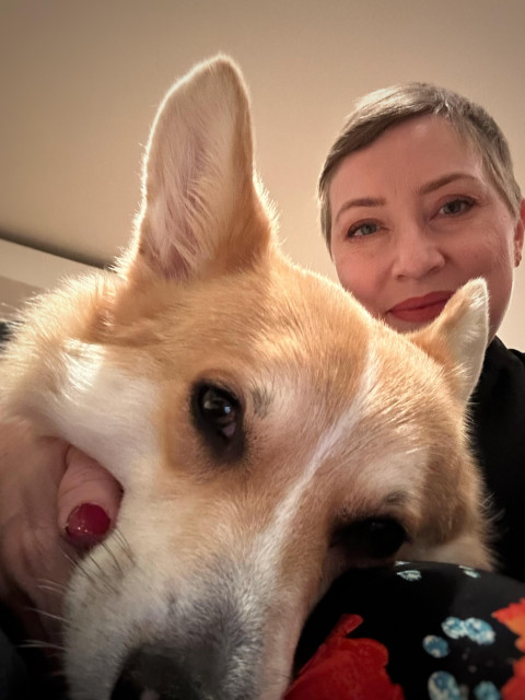 En corgy ligger nära kameran med en korthårig kvinna bakom 