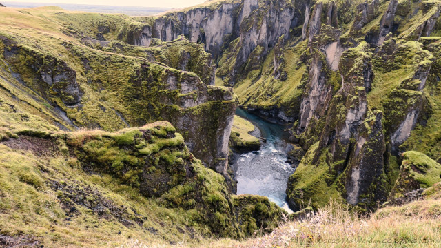 A colour photo of a rocky canyon with a turquoise river running through it. The gully sides are very steep and the walls are jutting into the open space between them in many places. These rocky pillars are joined to the walls in most cases, and softened by heavy growth of bright green mosses on the more horizontal surfaces. Where the rock is bare, it's pinkish grey. The grassland around the canyon top is dotted with wildflowers. The sky isn't visible in this shot but there are no shadows, suggesting overcast conditions.