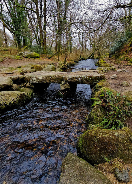 A stream runs through winter woodland, with a stone clapper bridge crossing it.
