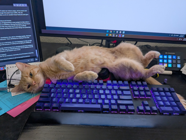Orange cat laying upside down, just above a keyboard.