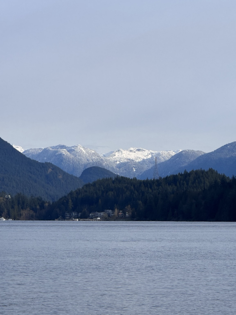 A photo looking over water to tree covered hills & snow covered mountains.