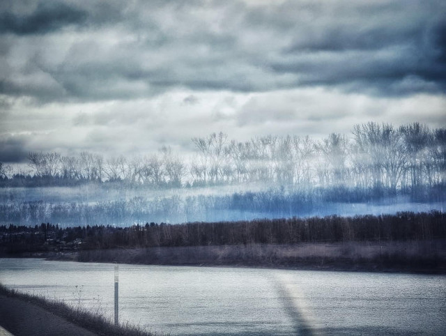 Several exposures of Government Island from Marine Drive in Portland Oregon along the Columbia River. The island is covered in bare trees and the sky is very cloudy creating an eerie fog on the multiple exposures.