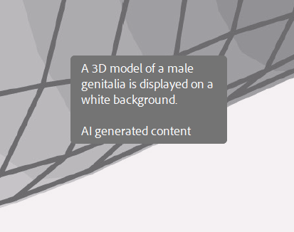 A popup showing alt text for the Klein bottle, which reads :"A 3D model of a male genitalia is displayed on a white background. AI generated content."