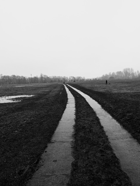 Monochrome photo of a pair of bright concrete tracks curving slightly away over dark damp and muddy grass. The sky is blank and the line of trees across the horizon is partially veiled. In the distance there are silhouettes of a person walking a dog, another on one of the paths, and a horse.