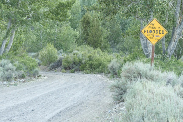 A color photo of a dirt road entering from the lower left and curving toward the left disappearing at center frame. Lots of green shrubs and trees line the road indicating the road is entering a riparian area. A diamond shaped yellow caution sign is seen in the upper right. It warns, "Flooded." But somebody has written above the word flooded, "My mind is." And below the word flooded, "with questions." Thus the whole sign reads, "My mind is flooded with questions."