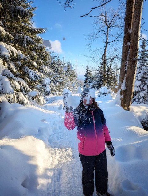 A lively snowball fight in a winter forest: a person, dressed in a pink and navy winter jacket, dark trousers, a grey beanie, and black gloves is captured mid-action, throwing a snowball toward the camera. Bits of snow are visibly scattered in the air—both in front of their face and throughout the scene—adding a dynamic, playful energy. The surrounding area is a picturesque, snow-covered path lined with tall evergreen trees, their branches heavy with fresh snow. The bright blue sky and sunlight create a crisp, cheerful atmosphere.