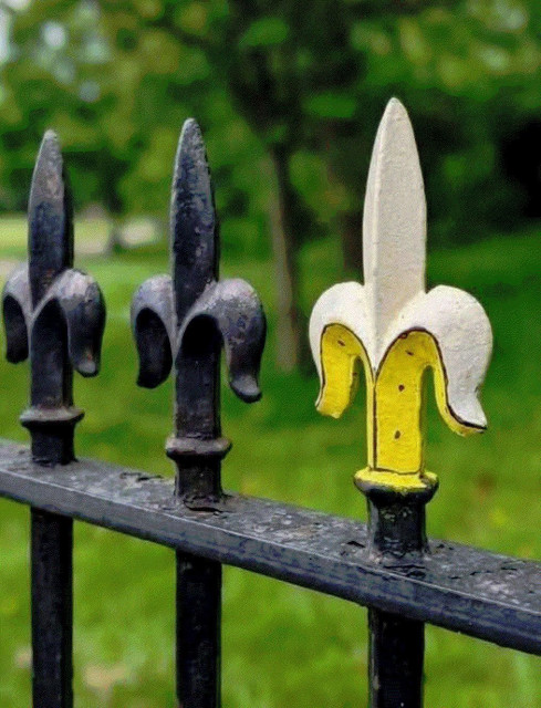 grille de parc avec motif de fer de lance fleur de lys de banane en acier forgé