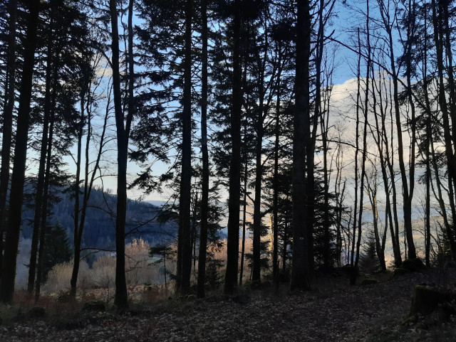 Rangée de silhouettes de petits arbres en contre-jour, derrière un pan de vieille montagne, le ciel bleu, un gros nuage blanc