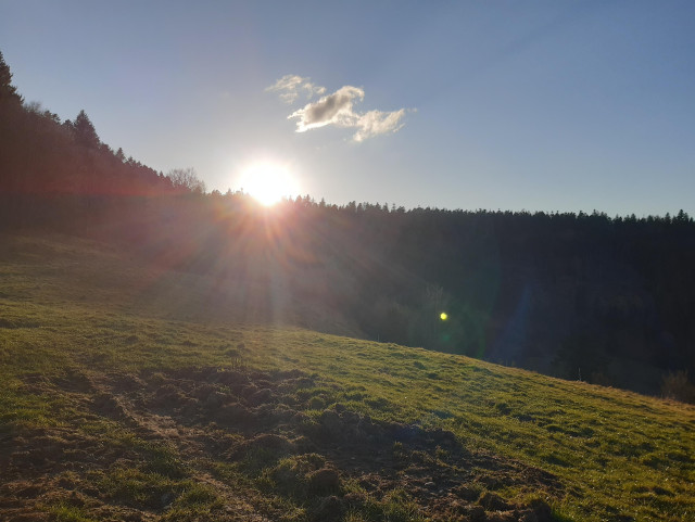 Le soleil s'apprête à disparaître derrière la ligne de crête boisée d'une vieille montagne. Devant, un pré herbeux. Ciel bleu