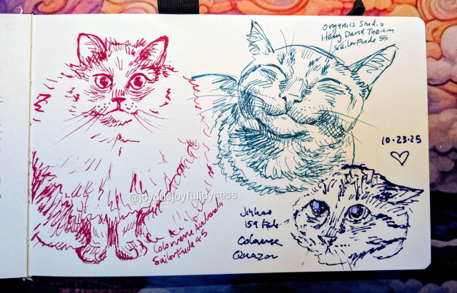 Sketchbook page of 3 drawings of cats in various fountain pen inks. In pink ink, the cat on the left has wide eyes and is very fluffy. The text below it reads Colorverse Andromeda Sailor Fude 45. To the right is a teal drawing of a smiling cat. The text to the top right of it reads Organics Studio Henry David Thoreau Sailor Fude 55. The bottom right is a dark blue drawing of a cat with big eyes looking up. Above is the date 10-23-25 and a heart. To the left is the text Jinhao 159 Fude Colorverse Quazar.