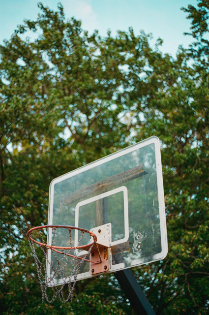 A basketball boot with a chain net and clear backboard. Behind it there is a set of trees which are out of focus creating pretty blue pops of sky through the leaves. 