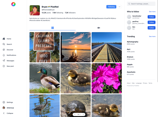 Pixelfed UI v5, profile