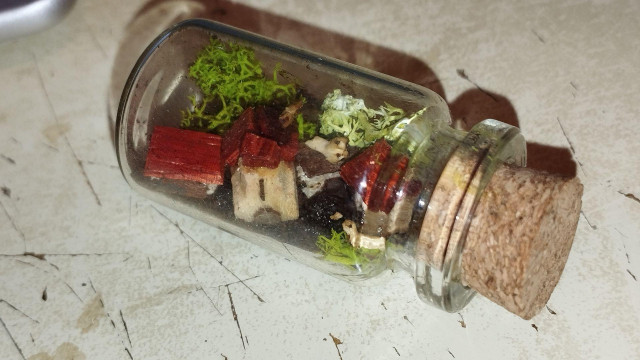 Photo of a miniature village inside a bottle. 3 tiny squirrels are out, laying on the roofs