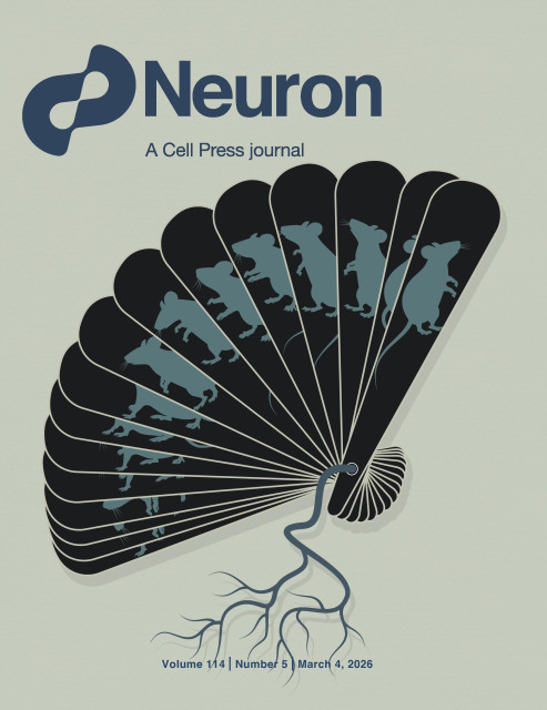 A drawing on the cover of the journal Neuron. Each section of the fan has a drawing of a mouse. Each mouse has a slightly different pose. The tassel of the fan resembles a neuron.