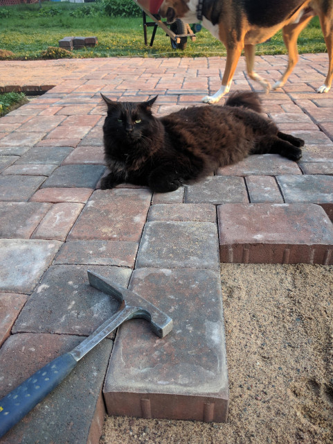 A picture of square pacers being placed on a sand surface. A hammer is laying on some of the pavers. A black fluffy cat watches the work in progress