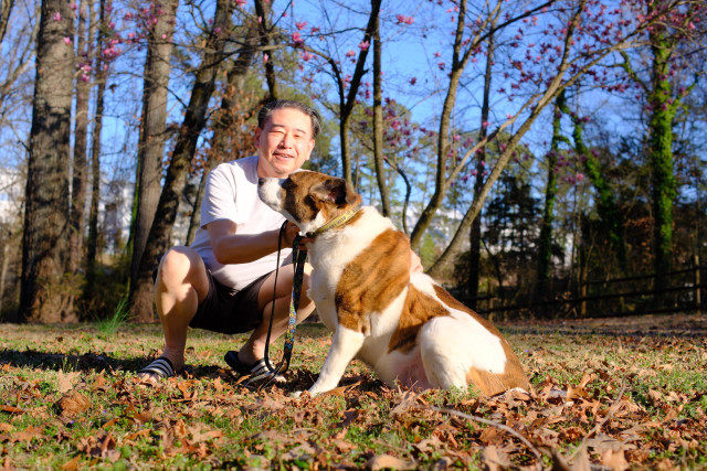 A man and dog together in their yard as pink Japanese magnolia blossoms are seen in the far back on the tree.