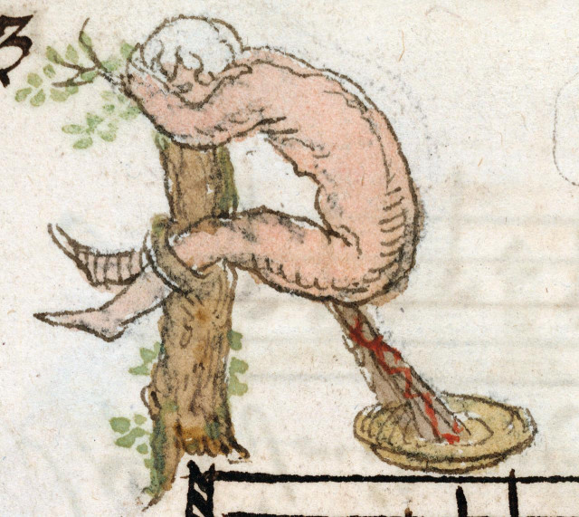 Initial ‘R’. chansonnier, Bruges 1542. Cambrai, Bibliothèque municipale, ms. 125B fol. 133v.
#medieval #MedievalArt